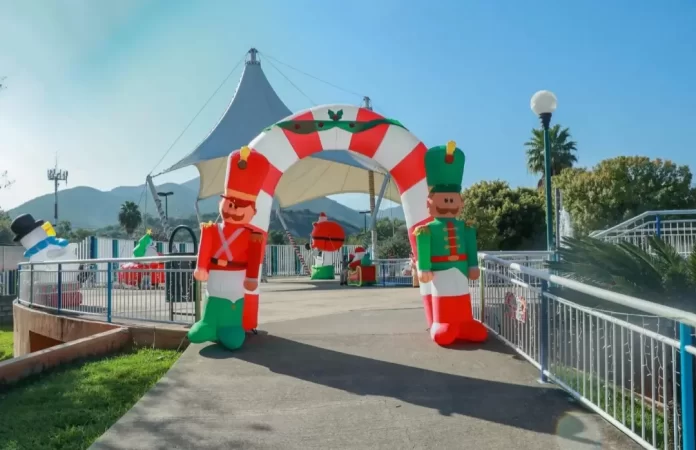 Screenshot_20241216_142708_Drive