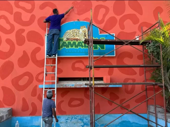 Screenshot_20241222_181034_Drive