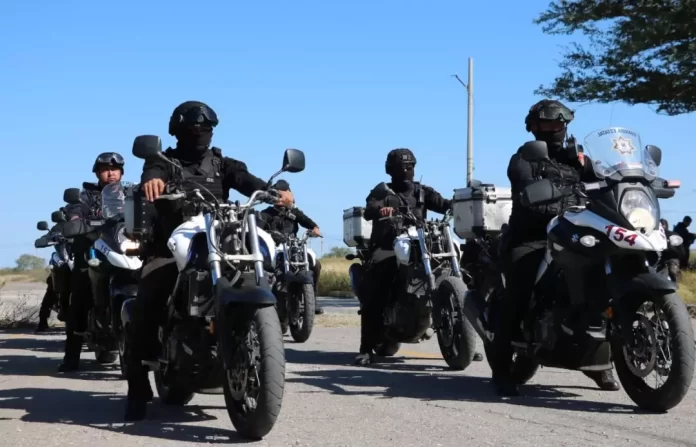 Screenshot_20241223_141142_Drive