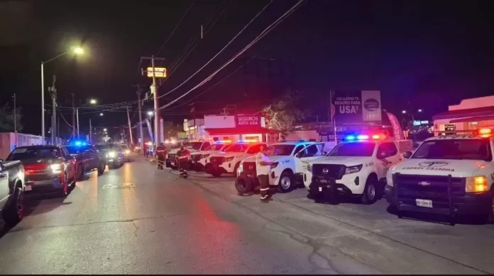 Screenshot_20241224_155627_Drive