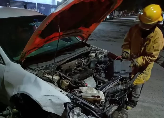 WhatsApp Image 2024-12-10 at 10.42.27 AM (1)