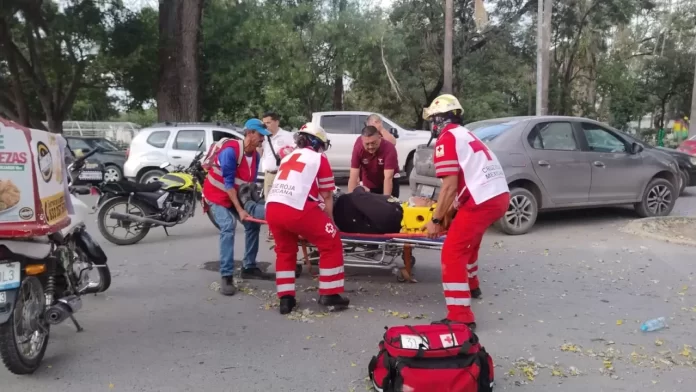 WhatsApp Image 2024-12-10 at 6.40.23 PM (1)