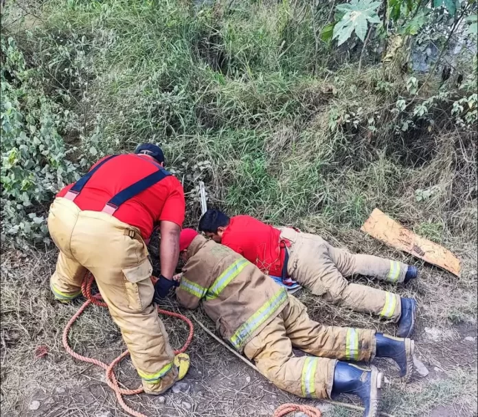 WhatsApp Image 2024-12-22 at 2.44.06 PM