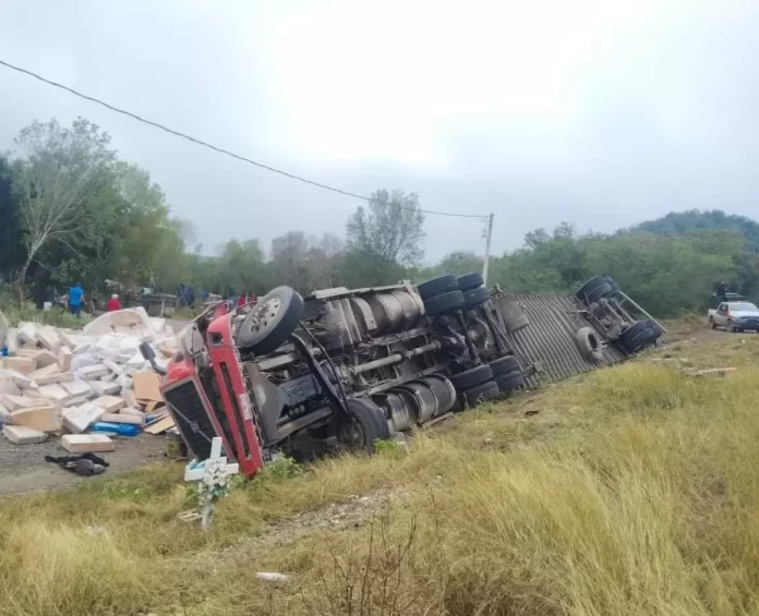 WhatsApp Image 2024-12-24 at 11.55.46 AM