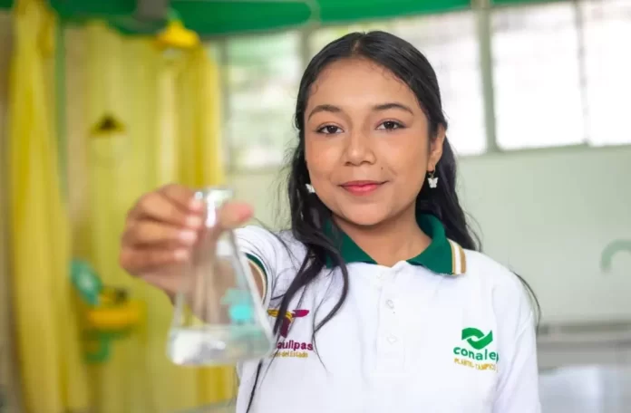 Screenshot_20250114_110655_Drive