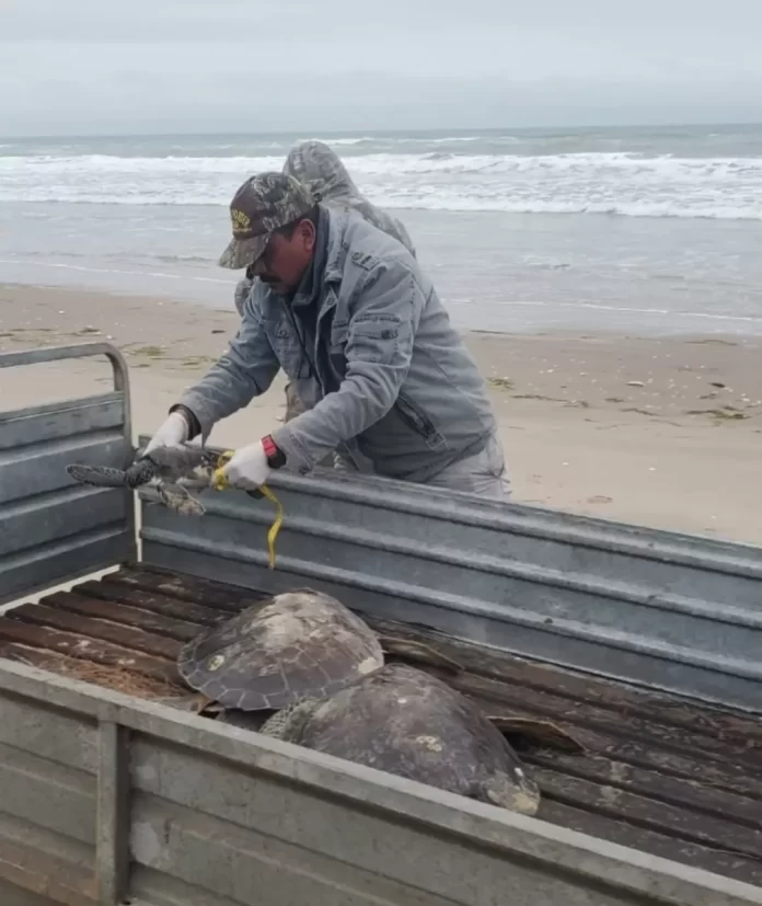 Screenshot_20250123_184028_Drive