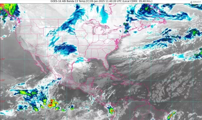 WhatsApp Image 2025-01-09 at 8.49.29 AM