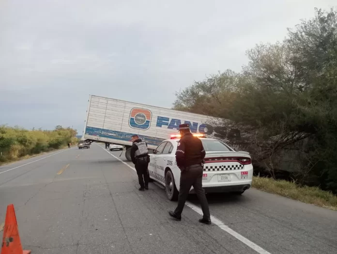 WhatsApp Image 2025-01-14 at 9.19.13 AM