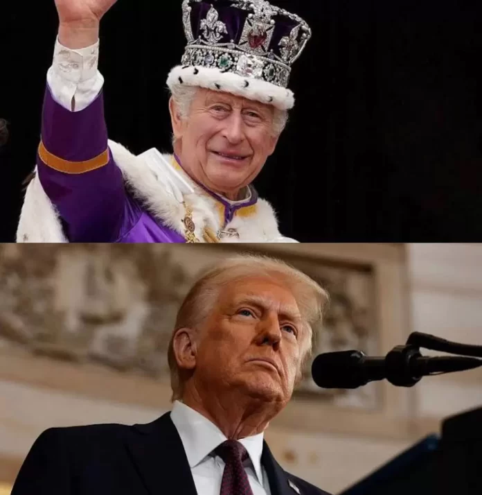 WhatsApp Image 2025-01-20 at 17.34.48