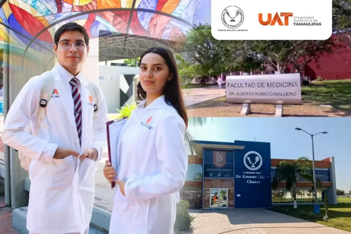 WhatsApp Image 2025-01-20 at 5.27.05 PM