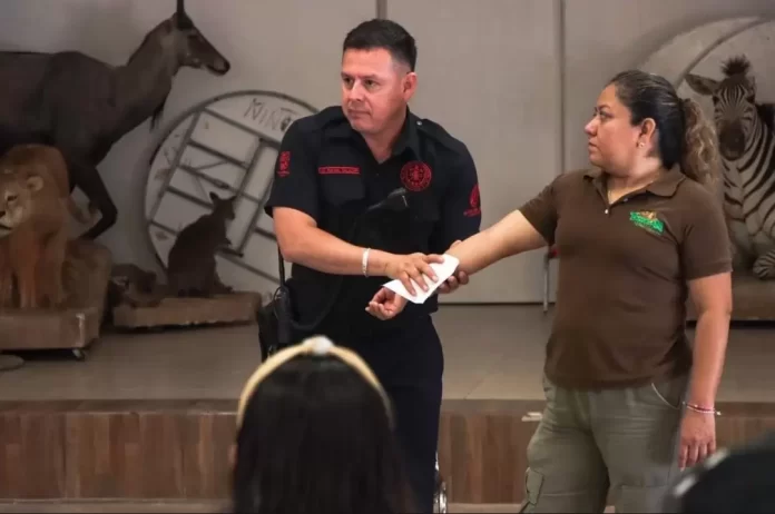 Screenshot_20250212_120810_Drive