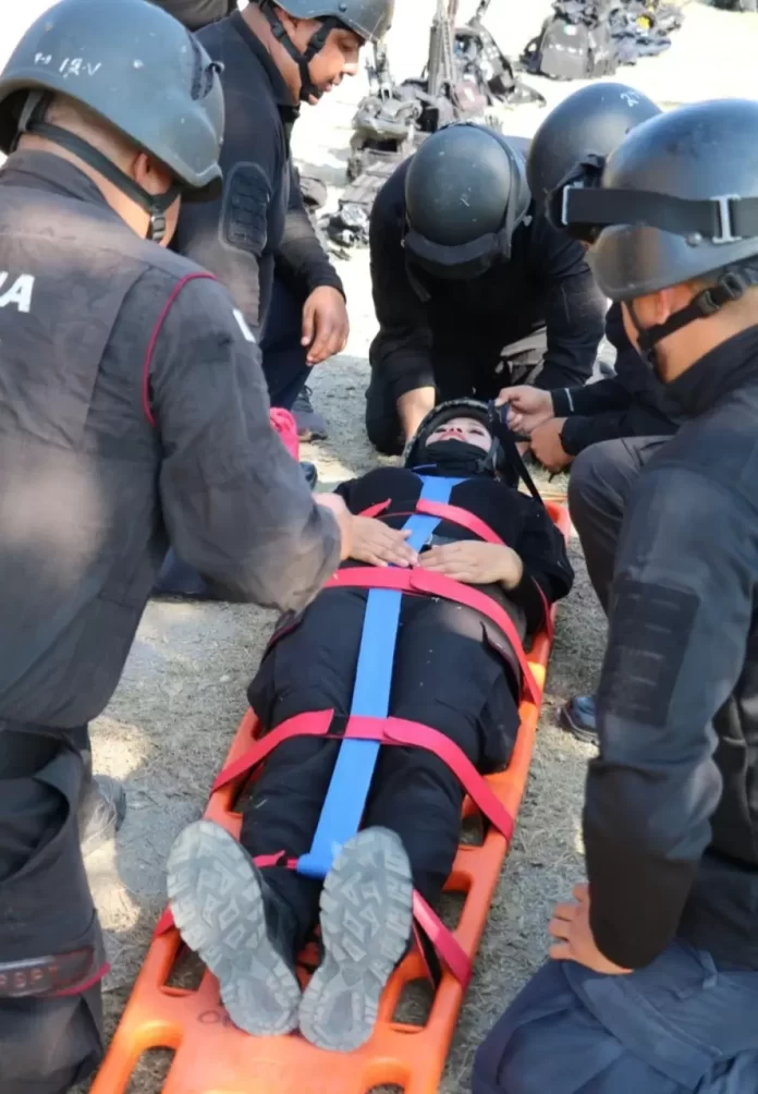 Screenshot_20250212_150433_Drive