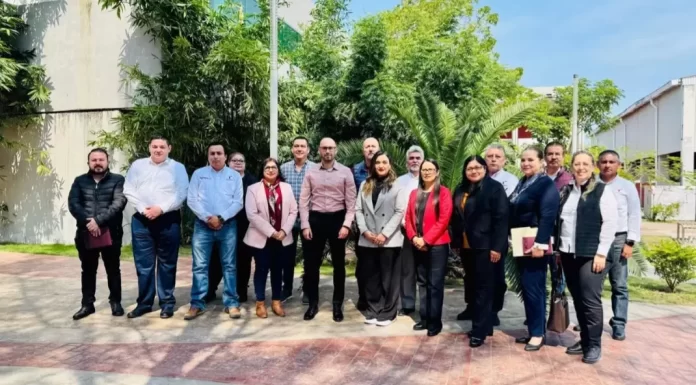 Screenshot_20250217_203002_Drive