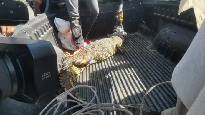 WhatsApp Image 2025-02-06 at 1.45.35 PM