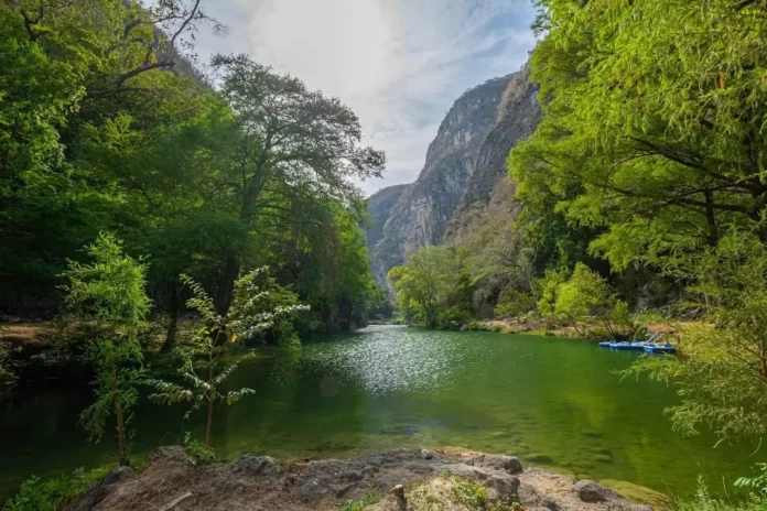 83f38a62-8930-4559-9106-8e702f96f773