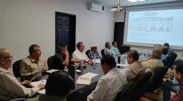 Screenshot_20250304_130628_Drive