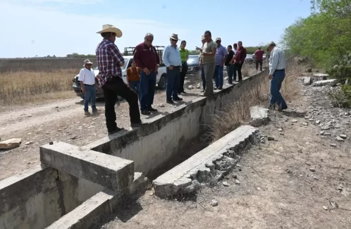 Screenshot_20250305_151232_Drive