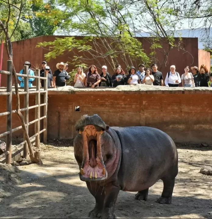 Screenshot_20250305_152711_Drive