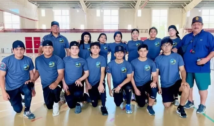 Screenshot_20250311_135604_Drive