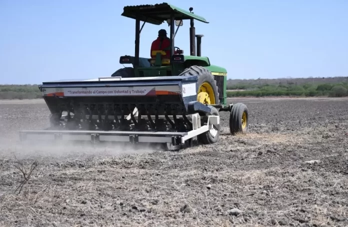 Screenshot_20250326_145525_Drive