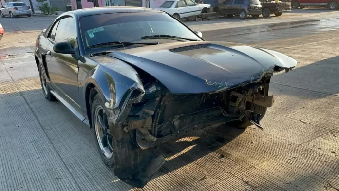 WhatsApp Image 2025-03-14 at 9.05.11 AM