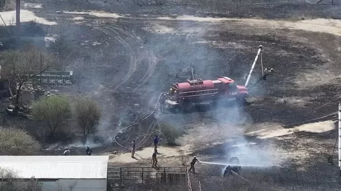 WhatsApp Image 2025-03-16 at 5.10.33 PM