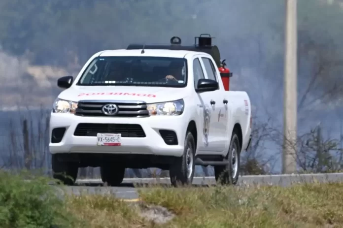 WhatsApp Image 2025-03-17 at 4.27.44 PM (2)