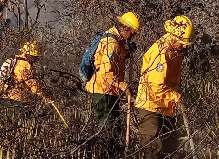 Screenshot_20250405_114017_Drive