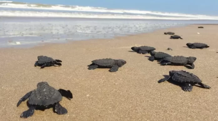 Screenshot_20250416_204634_Drive