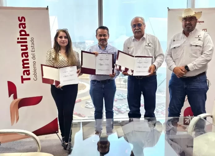 Screenshot_20250423_114419_Drive