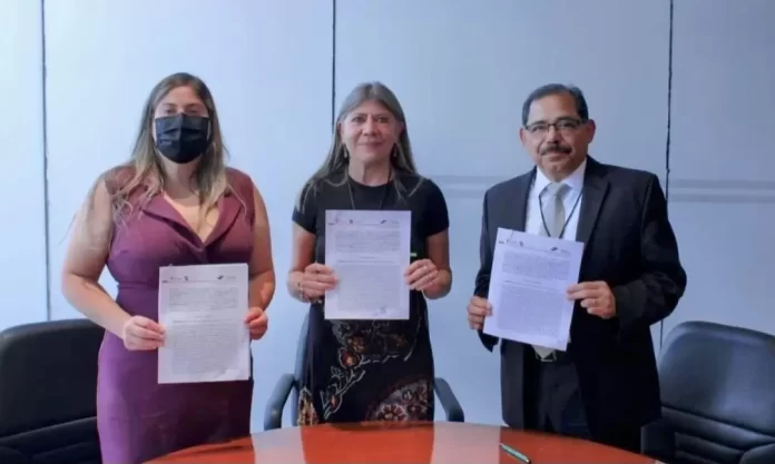 Screenshot_20250429_195244_Drive