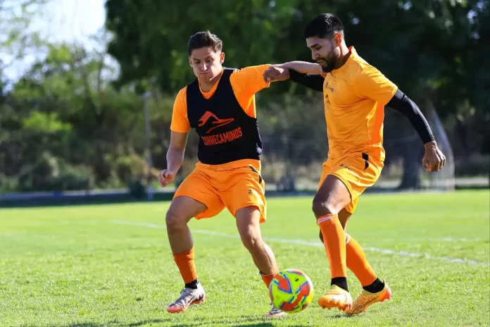 WhatsApp Image 2025-04-10 at 3.27.56 PM