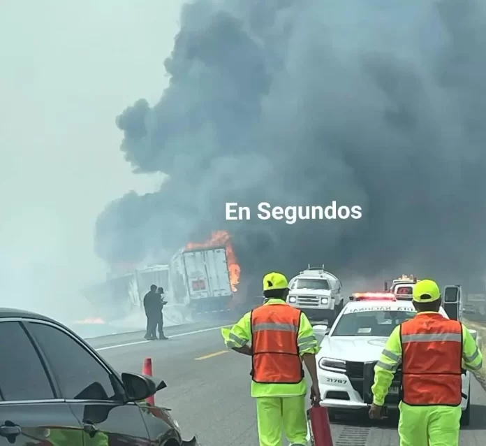 WhatsApp Image 2025-04-23 at 19.14.14