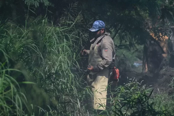 WhatsApp Image 2025-04-28 at 3.11.25 PM