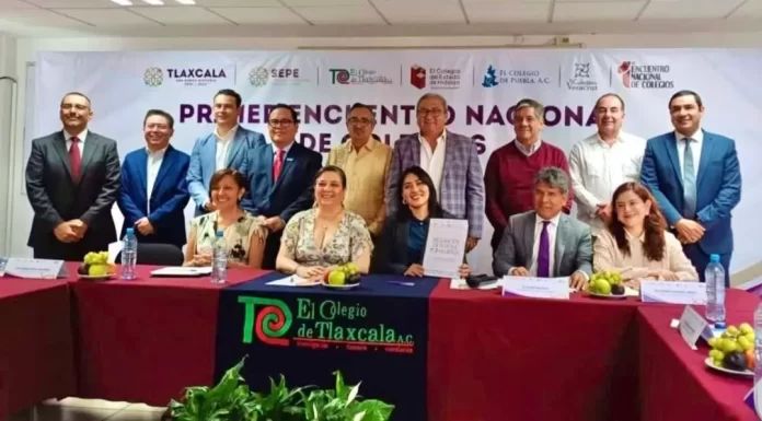 Screenshot_20250501_114316_Drive