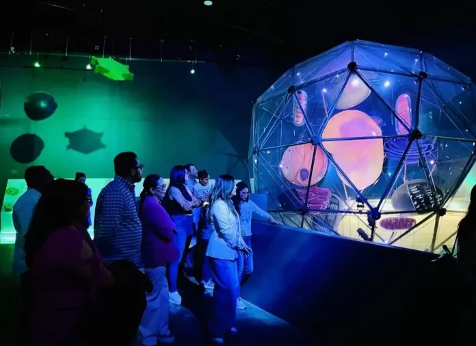 Screenshot_20250511_192221_Drive