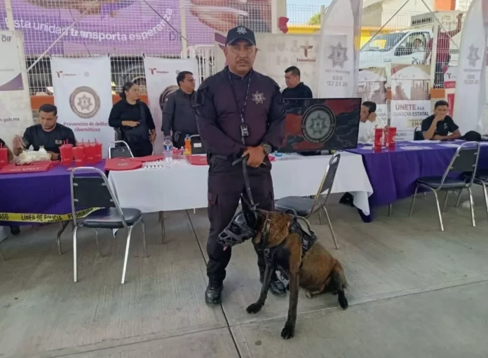 Screenshot_20250520_183159_Drive