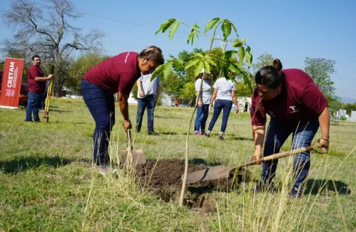 Screenshot_20250520_183600_Drive