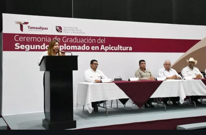 Screenshot_20250527_173617_Drive