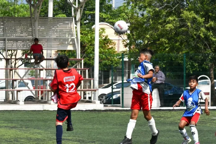 WhatsApp Image 2025-05-28 at 12.24.42 PM