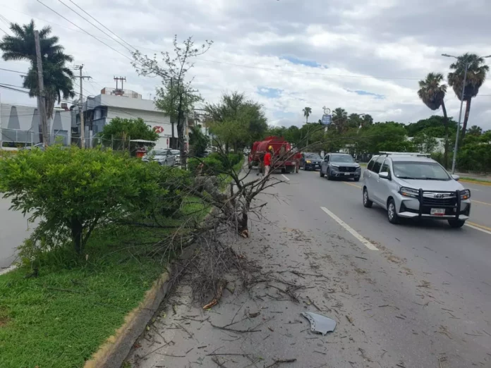 Imagen de WhatsApp 2025-06-23 a las 16.36.51_5c8c12e3