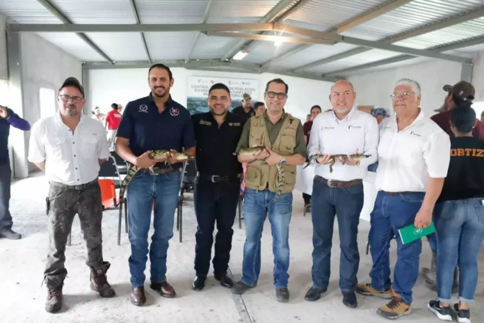 Imagen de WhatsApp 2025-06-25 a las 16.17.17_98f6bae5