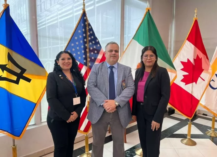 Screenshot_20250603_134156_Drive