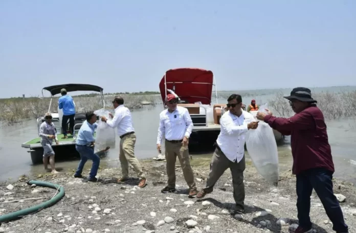 Screenshot_20250605_114350_Drive