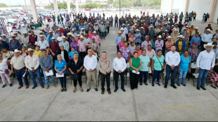 Screenshot_20250605_123333_Drive