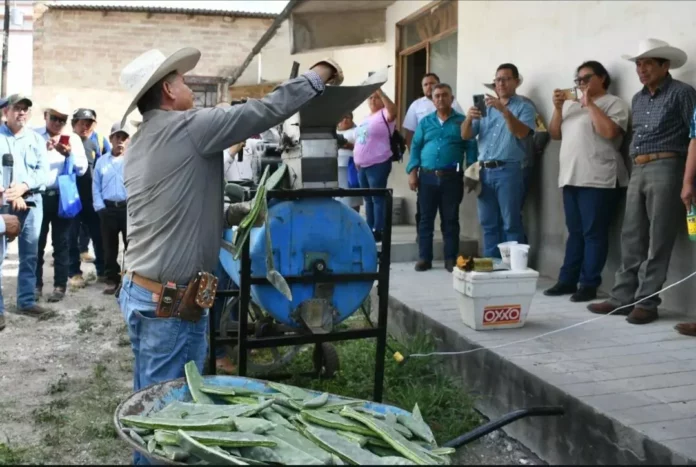 Screenshot_20250619_140758_Drive