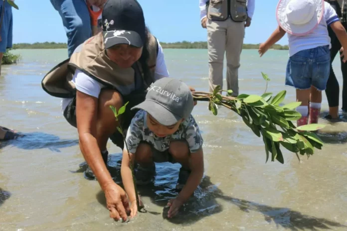 WhatsApp Image 2025-06-08 at 12.17.44 PM (1)