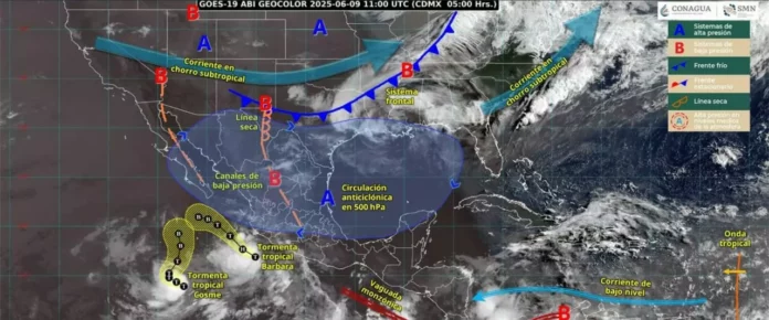 WhatsApp Image 2025-06-09 at 7.11.09 AM