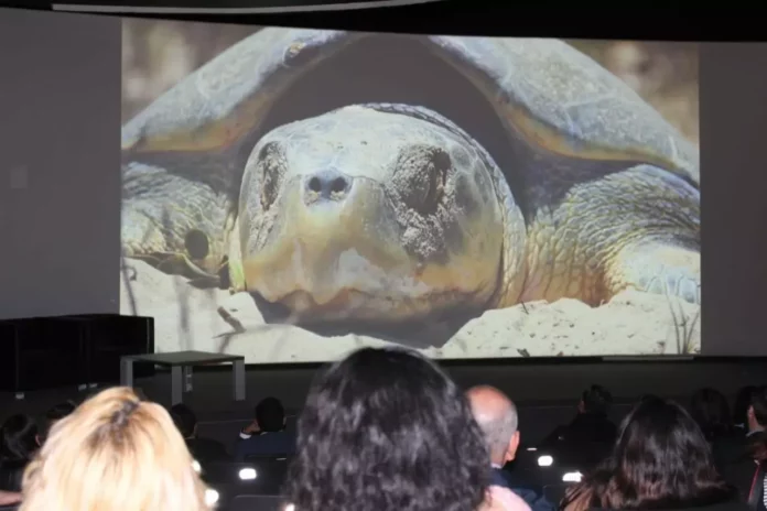 WhatsApp Image 2025-06-16 at 4.59.04 PM