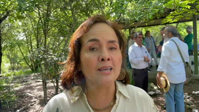 Imagen de WhatsApp 2025-07-10 a las 16.51.00_cd2885ed